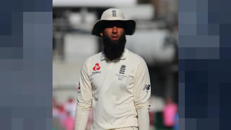 moeen ali net worth
