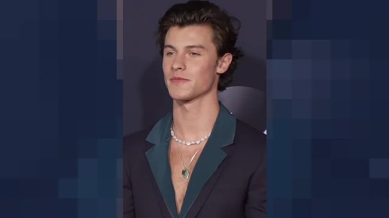 shawn mendes net worth