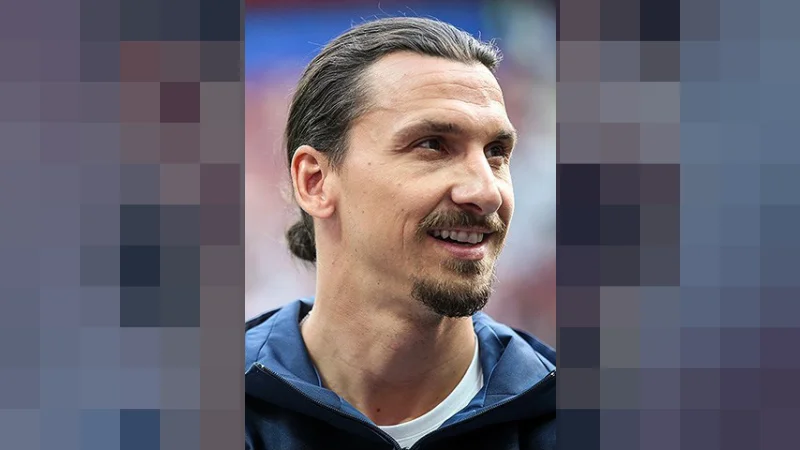 zlatan ibrahimovic net worth
